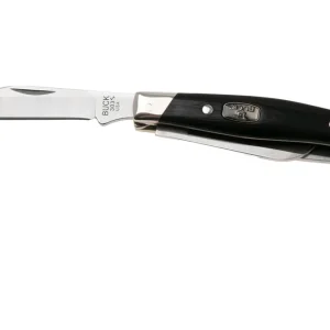 Alleen Vandaag Buck Cadet 0303BRS2-B, Satin 420HC, Ebony Wood, Nickel Silver zakmes