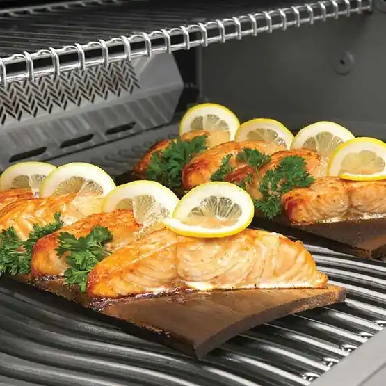 BBQ rookplanken kopen Veilige Betaling