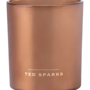 Beperkte Voorraad Ted Sparks - Geurkaars Demi - Almond & Cinnamon