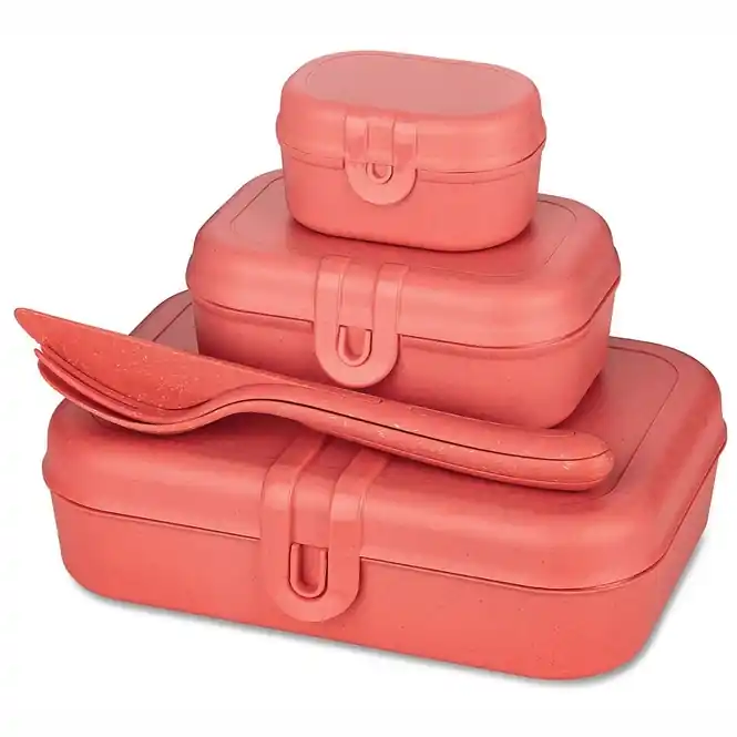 Aanbieding Lunchbox- en Bestekset, Organic, Natuur Koraal - Koziol Pascal Ready